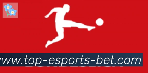 CSGO竞猜合作伙伴
